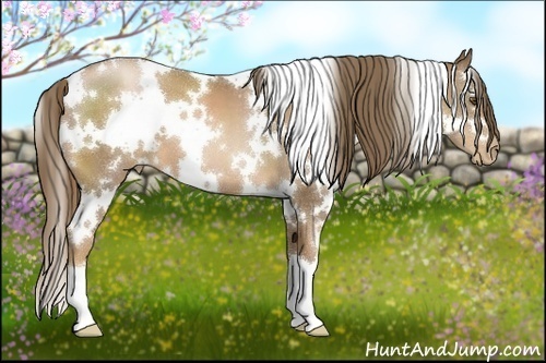 Horse Color:White Spotted Liver Chestnut Pearl 