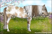Horse Color:White Spotted Liver Chestnut Pearl 