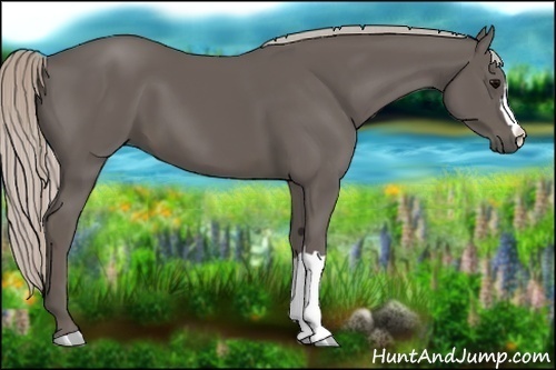 Horse Color:Silver Black 