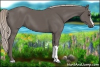 Horse Color:Silver Black 