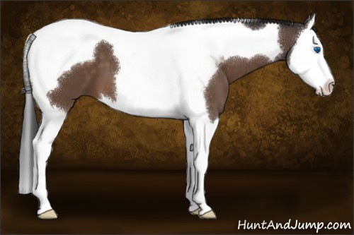 Horse Color:Brown Splash Tobiano