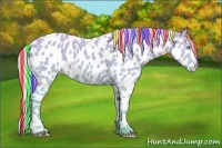 Horse Color:Painted Cremello Near Leopard 