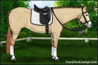 Horse Color:Red Dun Splash 