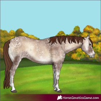 Horse Color:Red Onyx Ice 