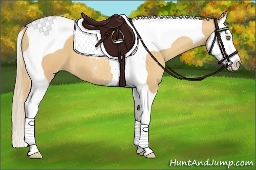 Horse Color:Gold Champagne Splash Tobiano 