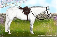 Horse Color:Cremello Appaloosa 