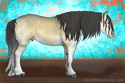 Horse Color:Buckskin Dun Splash