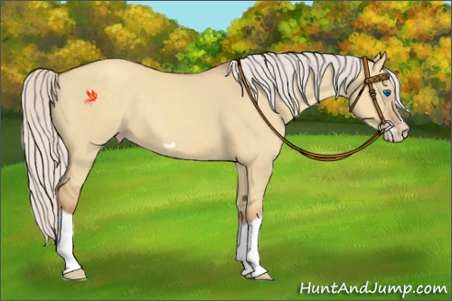 Horse Color:Silver Classic Champagne Dun Splash Frame