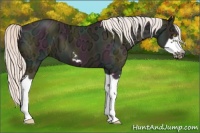 Horse Color:Midnight Silver Classic Champagne Ice Dun Splash Frame