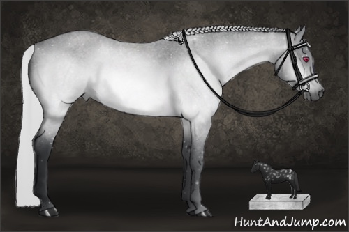 Horse Color:Silver Brown Chinchilla Roan 