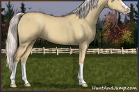 Horse Color:Silver Classic Champagne Dun Splash Frame 