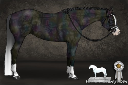 Horse Color:Midnight Grullo Ice Sabino Splash