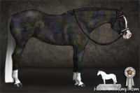 Horse Color:Midnight Grullo Ice Sabino Splash