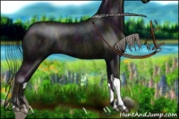 Horse Color:Midnight Chocolate Palomino Ice Tobiano 