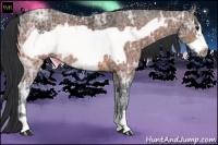 Horse Color:Bay Ice Frame