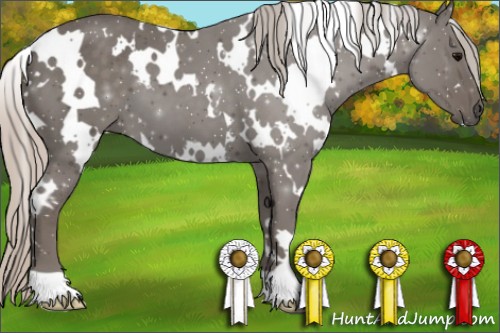 Horse Color:White Spotted Silver Black 