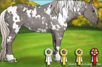 Horse Color:White Spotted Silver Black 