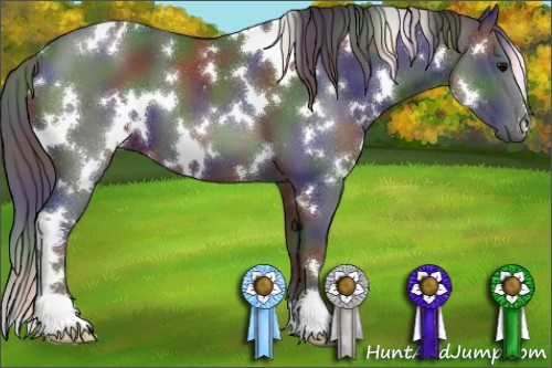 Horse Color:Nacre White Spotted Black