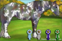 Horse Color:Nacre White Spotted Black