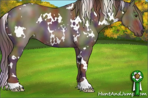 Horse Color:Nacre White Spotted Liver Chestnut 