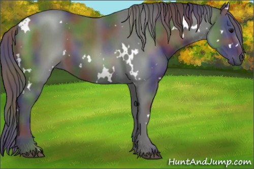 Horse Color:Nacre White Spotted Smoky Black