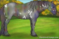Horse Color:Nacre White Spotted Smoky Black