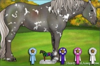 Horse Color:White Spotted Silver Black 