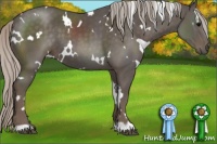 Horse Color:White Spotted Silver Black 