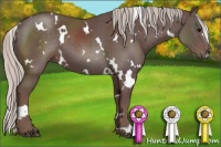 Horse Color:White Spotted Chocolate Silver Black 