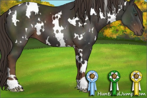 Horse Color:White Spotted Liver Chestnut 