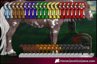 Horse Color:White Spotted Chocolate Silver Black Chinchilla