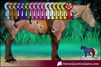 Horse Color:White Spotted Sable Champagne Tobiano