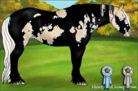 Horse Color:White Spotted Silver Sable Champagne Splash Tobiano 