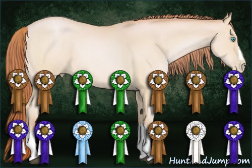 Horse Color:Buckskin Roan Pearl 