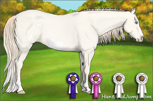 Horse Color:Perlino Roan Frame 
