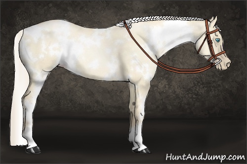 Horse Color:White Spotted Palomino Pearl Dun 