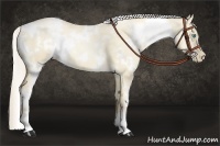 Horse Color:White Spotted Palomino Pearl Dun