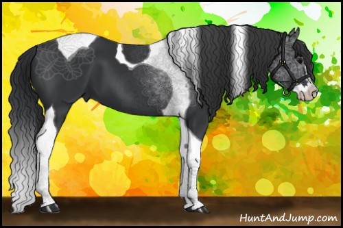 Horse Color:Black Splash Tobiano 