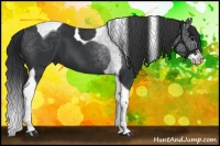 Horse Color:Black Splash Tobiano