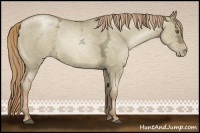 Horse Color:Liver Red Dun Ice Pearl Sabino 