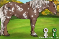 Horse Color:White Spotted Chocolate Silver Black 