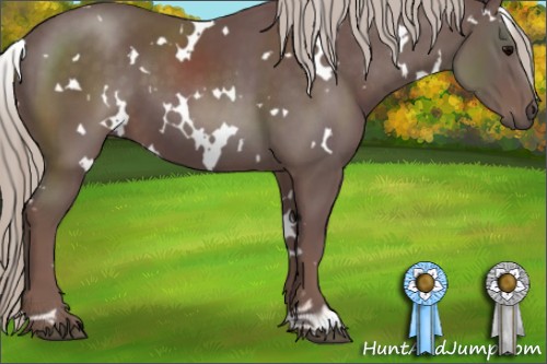 Horse Color:White Spotted Chocolate Silver Black
