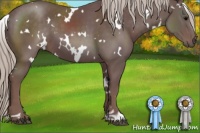 Horse Color:White Spotted Chocolate Silver Black