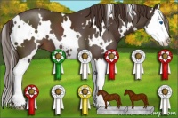 Horse Color:White Spotted Liver Chestnut Splash 