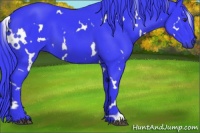 Horse Color:Watercolor White Spotted Liver Chestnut