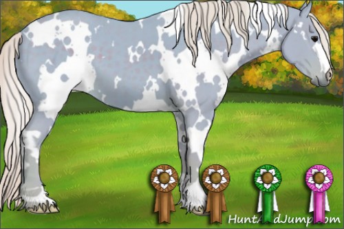 Horse Color:Watercolor White Spotted Silver Black 