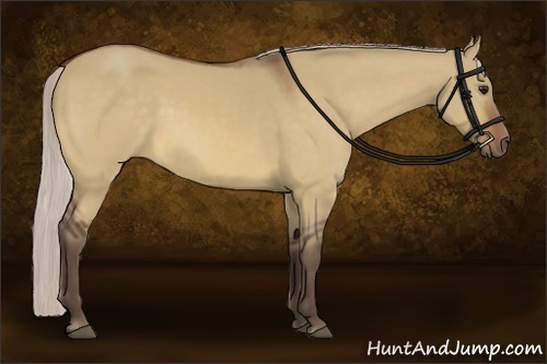 Horse Color:Silver Bay Dun 