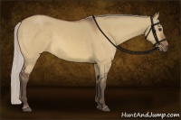 Horse Color:Silver Bay Dun 