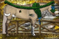 Horse Color:Silver Brown Dun