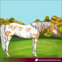 Horse Color:Silver Buckskin Tobiano Frame 